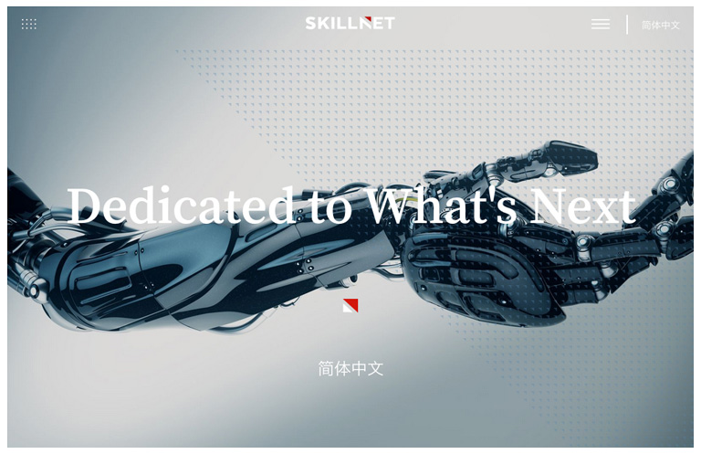 Screenshot skillnet.com